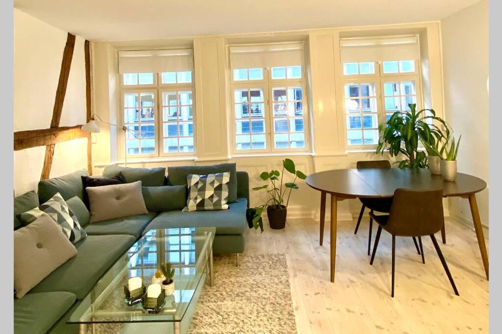 哥本哈根Luxury 'Kings Garden' City-Flat In Center Of Town公寓 外观 照片